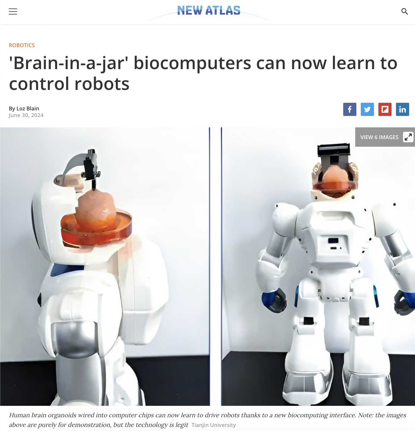 chinese robot with human brain - New Atlas Robotics 'Braininajar' biocomputers can now learn to control robots By Lou Ban in View & Images Human brain organoids wired into computer chips can now learn to drive robots thanks to a new biocomputing interface